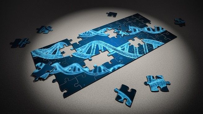 Miopía hereditaria - factor genético